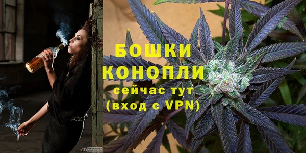 mdpv Вяземский