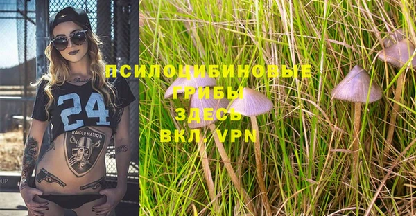 mdpv Вяземский