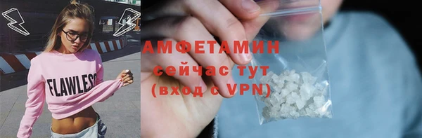 mdpv Вяземский