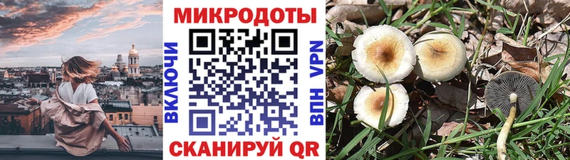 Псилоцибиновые грибы GOLDEN TEACHER Пикалёво